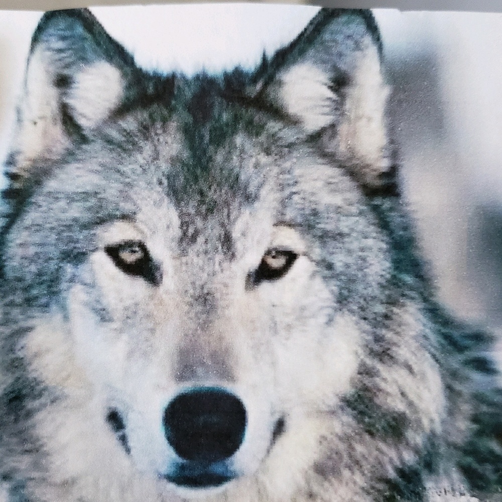 Meet your Posher, Summer